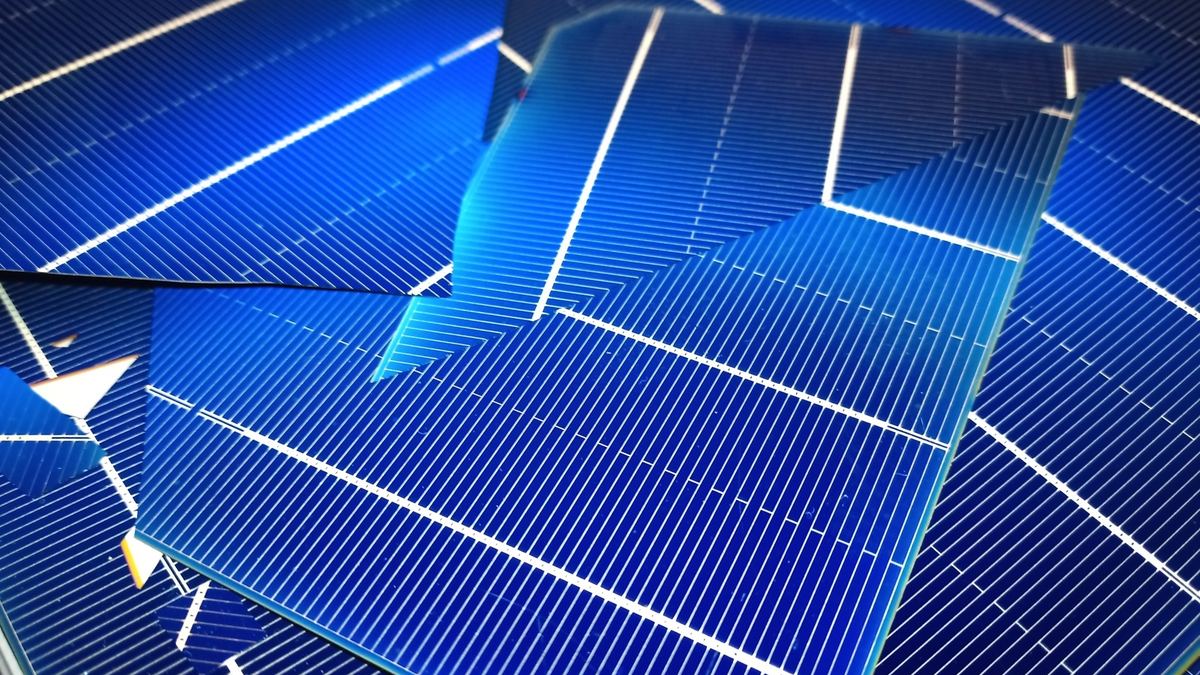 Close-up of solar cells before module assembly